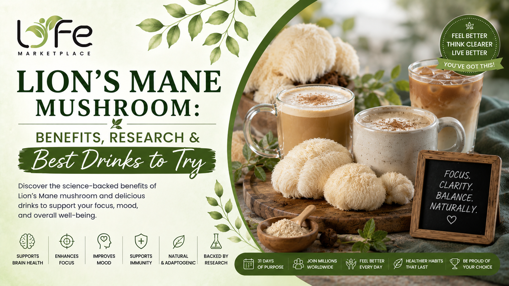 Lion's Mane Mushroom Benefits, Research & Best Drinks to Try