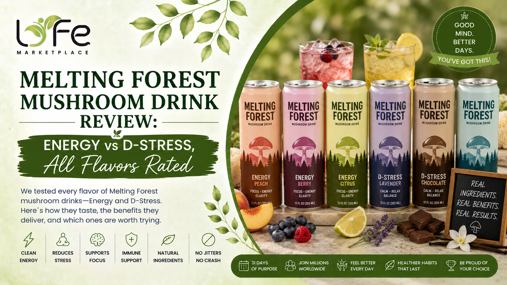 Melting Forest Mushroom Drink Review Energy vs D-Stress, All Flavors Rated