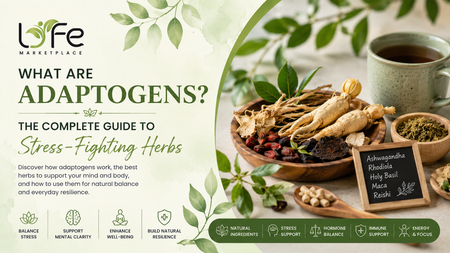 What Are Adaptogens? The Complete Guide to Stress-Fighting Herbs & Functional Drinks