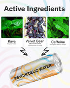 Orange + Vanilla Sparkling Kava Water