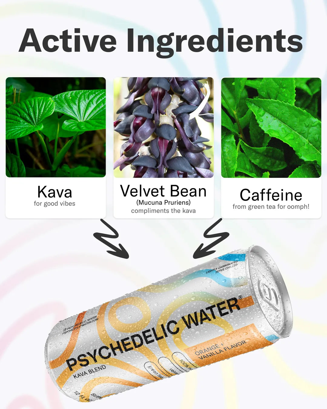 Orange + Vanilla Sparkling Kava Water
