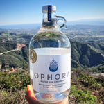 ophora-caseofophorawaterhalfgallonglassjugs4bottlescase-000-e66d6b2b-4067-45b5-b861-6d3fb7b6ad25