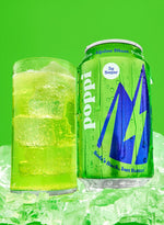 0221_2025_ALPINEBLASTPDP-07