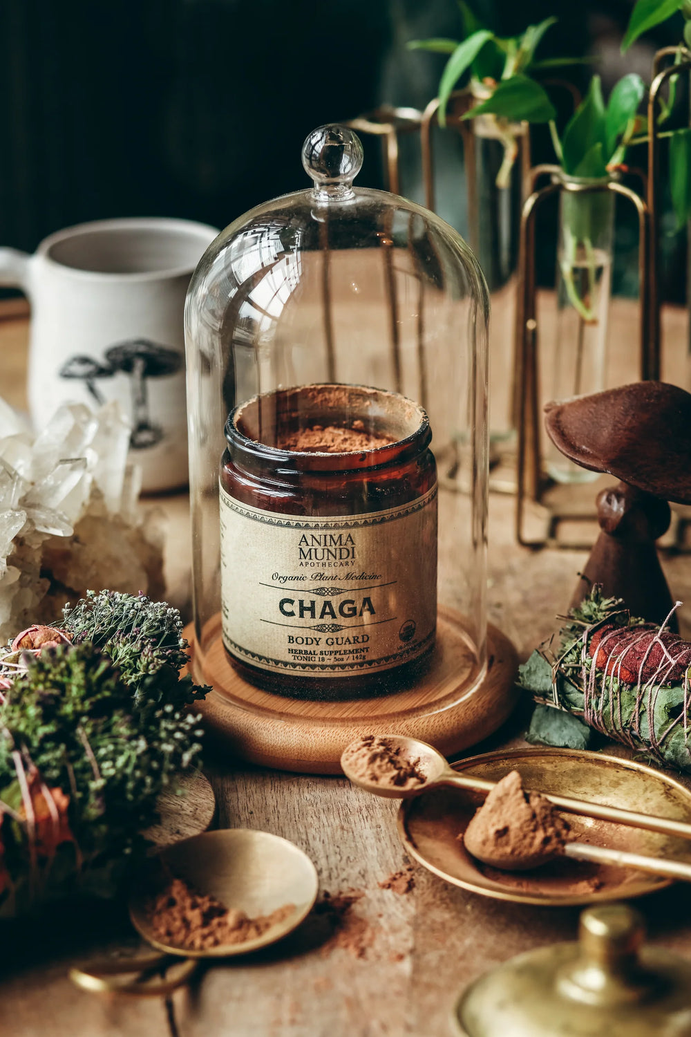 Anima Mundi Chaga Organic Mushroom Powder