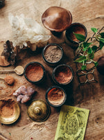 Anima Mundi Chaga Organic Mushroom Powder