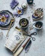 Anima Mundi Dream Tea Herbal Sleep Blend