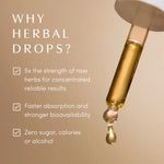 Apothékary Lion’s Mane Herbal Tincture