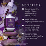 Apothékary Mindcraft Herbal Tincture