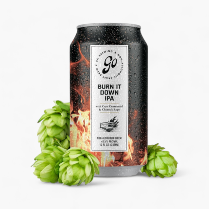 Burn It Down IPA - Carmel Malt & Tropical