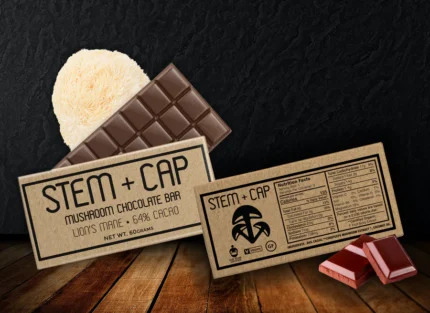 Mushroom Chocolate Lions Mane bar by Stem + Cap