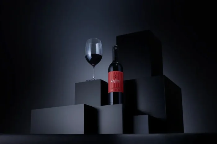 Elegant red wine bottle and glass showcased on modern black geometric blocks under moody lighting.